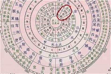 命理 意思|四柱八字命理术语合集